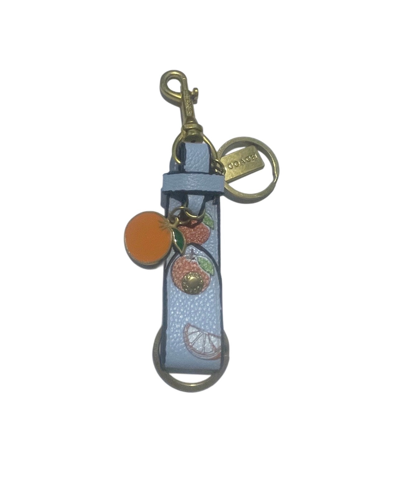 Coach Inspired Blue Keychain with Fruit